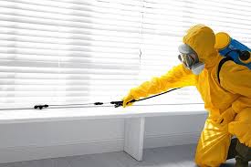 Trusted London, KY Pest Control Experts